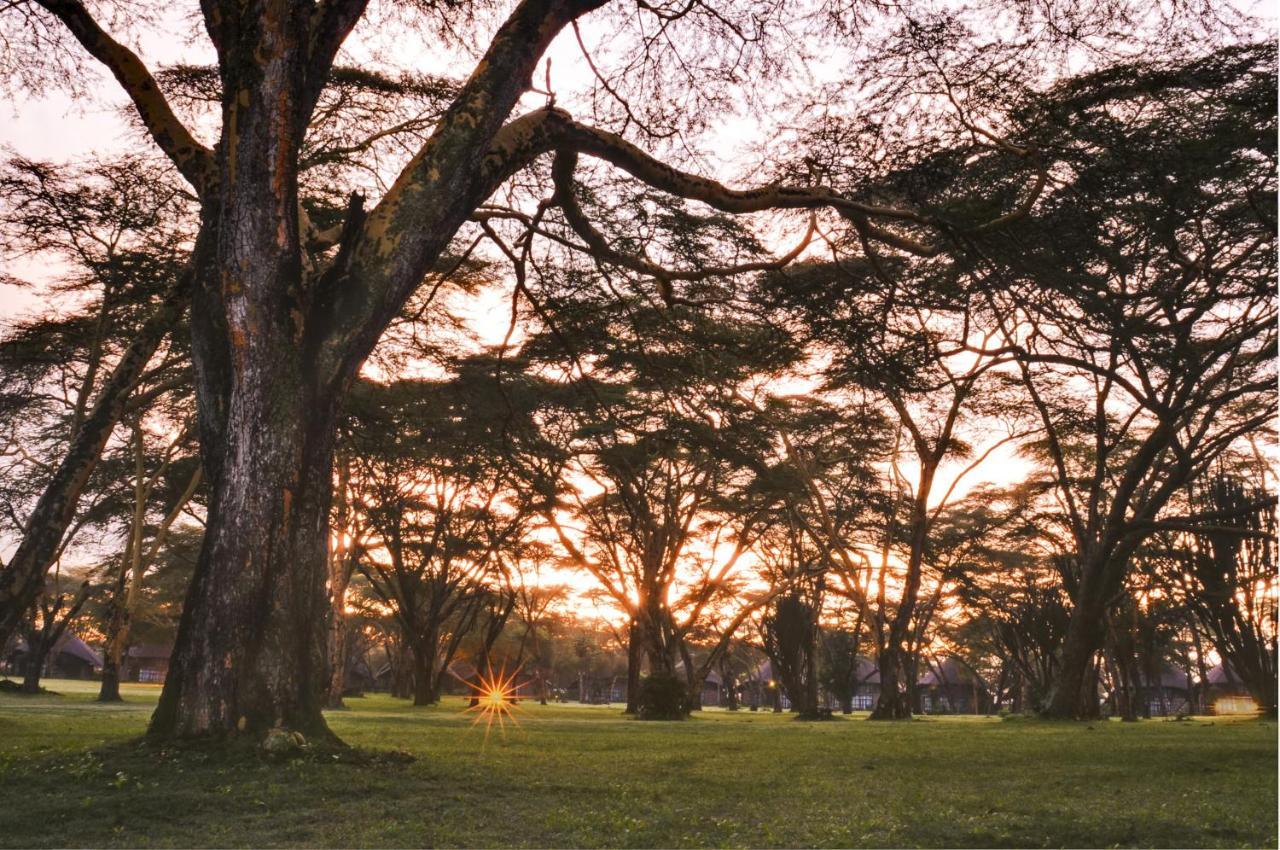 Lake Naivasha Sopa Resort Buitenkant foto